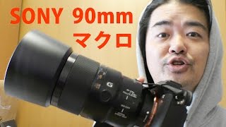 ソニー「SEL90M28G」切れ味バツグン中望遠マクロレンズを試す SONY FE 90mm F28 Macro G OSS [upl. by Binnie]