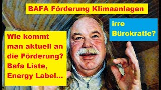 Förderung von LLWärmepumpen Klimaanlagen  Kompletter IRRSINN Untiefen der Bürokratie [upl. by Kenlee]