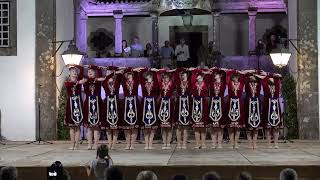 Armenian folk dance Taza Sayat Nova [upl. by Rahmann960]