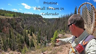 Fly Fishing a small stream in Colorado [upl. by Haywood]