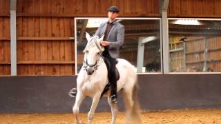 Marius Schneider demonstration Stal de Maesberg Arnhem [upl. by Fulmis]