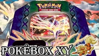 BOBOX ↔ ◓ Ouverture Pokébox Xerneas EX de la série XY ◓ ↔ quotXerneas le Pokémon Existence quot [upl. by Carpenter]