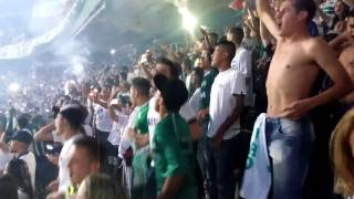 Homenagem à Chapecoense no Couto Pereira parte 12 [upl. by Collum]