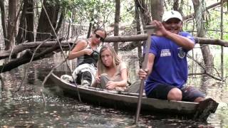 Parque Nacional de Jaú Amazonas Brasil [upl. by Leksehcey]