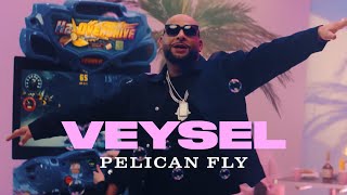 VEYSEL  PELICAN FLY Official Video [upl. by Brita702]