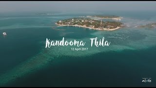 Kandooma Thila Maldives on 12 April 2017  BEST DIVE [upl. by Lowry289]