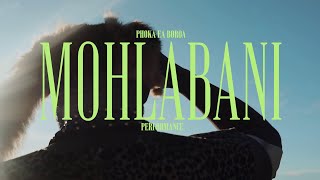 Phoka ea Boroa  Mohlabani Official Performance Video [upl. by Aisayt]