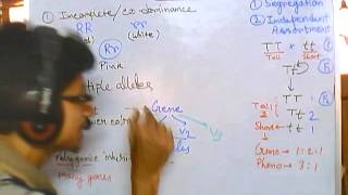 Genetics part 2 nonmendelian inheritance codominance polygene linked gene sex linkage etc [upl. by Chanda]