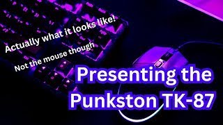 I GOT IT Introducing the Punkston TK87 [upl. by Jason]