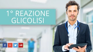 33 BIOCHIMICA  25 Glicolisi  Prima reazione  Fosforilazione del glucosio [upl. by Nanoc]