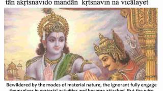 Bhagavad Gita Chapter 3  Verse 29 [upl. by Wettam477]