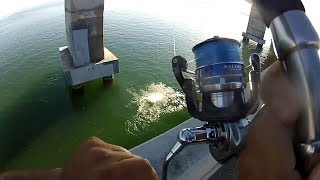 How To Fish For Tarpon From Bridges [upl. by Bolen281]