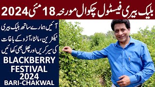 INVITATION  Blackberry Festival 2024 BARI Chakwal  Self picking Fruits of Potohar [upl. by Ezeerb]