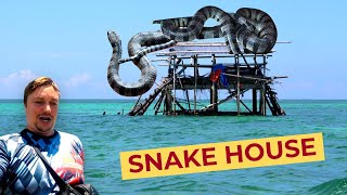 Mindanaos MOST DANGEROUS House 100 SEA SNAKES Live Here [upl. by Willing244]