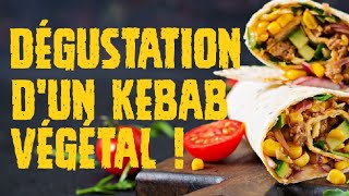 Je déguste un kebab végétal [upl. by Idnem246]