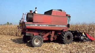 Corn harvest with Case IH 1660 axial flow [upl. by Deraj]