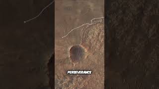 Mission Control Live NASA Lands Perseverance Mars Rover 360 video [upl. by Felicio561]