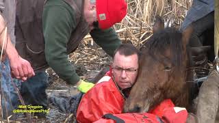 Dramatic horse rescue in North Smithfield RI [upl. by Annayd]