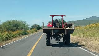 Recorrido desde Chavinda al Cerrito Colorado Michoacán Cotidiano399 [upl. by Roselba]