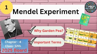 Mendel Experiment Trait  Allele  Genotype  Phenotype  Homozygous  Heterozygous  Ch4 [upl. by Cleon]