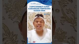 Dedi Mulyadi Sebut 3 DPO Kasus Vina Cuma Karangan Fiktif Terpidana Sudirman Tak Perlu Dicari Lagi [upl. by Rennug603]