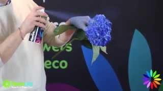 Floralife® Aqua Color Spray  How To Flowers [upl. by Noyerb727]