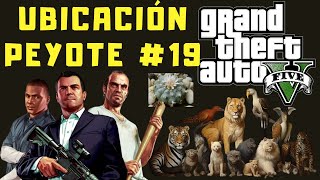 Ubicaciones de Peyote en GTA V 19 Modo Historia [upl. by Teerell]