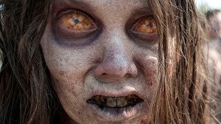 Zombie Film Full Movie Horror Movie full DECAY [upl. by Butch]