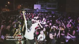 PSYCHEDELIC BOYZ  PINEAL GLAND LIVE PERFORMANCE  MAKATI [upl. by Ahsekan]