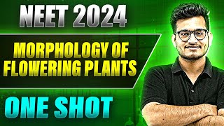 MORPHOLOGY OF FLOWERING PLANT in 1 Shot FULL CHAPTER COVERAGE TheoryPYQs  Prachand NEET [upl. by Shore258]