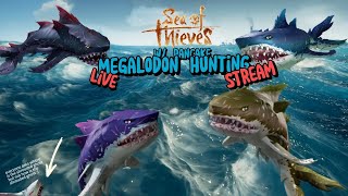 Megalodon Hunting Sea of Theives unsuccessful [upl. by Lsiel]