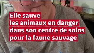 VIDÉO Elle sauve les animaux sauvages dans son centre de soins à Échiré [upl. by Eidua]