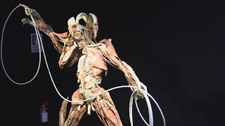 La exposición quotBody Worlds Vitalquot llega a Suramérica [upl. by Chapnick]