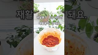 배달용기 세척 음식물이 묻은채로 버리면 폐기물로 처리될 가능성이 높아요배달용기세척 배달용기재활용 배달용기분리수거 재활용분리수거 살림비법 살림꿀팁 살림노하우 [upl. by Rehnberg]