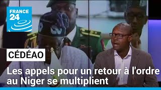 Sommet de la Cédéao  les appels pour un retour à lordre au Niger se multiplient • FRANCE 24 [upl. by Kliber741]