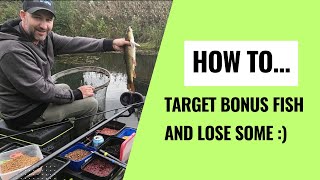 How to Target Bonus Fish on a Silvers Lake Coarsefishing [upl. by Gretna]