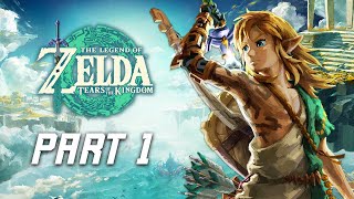 The Legend of Zelda Tears of the Kingdom Walkthrough Part 1  Great Sky Island amp Temple of Time [upl. by Edmee]