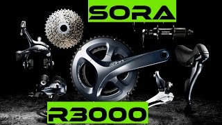 NEW 2017 Shimano Sora R3000 Entry Level Road Bike Components  review [upl. by Albrecht556]