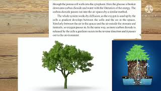 10th class biology Aeration in roots respiration in plants [upl. by Annoya]