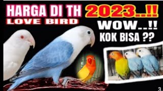 UPDATE HARGA TERBARU BURUNG LOVEBIRD TAHUN 2023 [upl. by Okramed728]