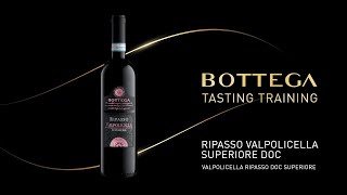 Training Ripasso Valpolicella Superiore Doc talian wEnglish subtitlesT sub En [upl. by Thorlie]