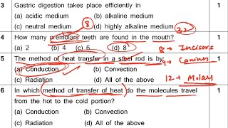 Half Yearly Exam Question Paper  Class7 SCIENCE 2023 Sample Paper For Kendriya Vidyalaya Students [upl. by Billi]