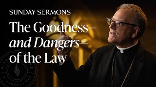 The Goodness—and Dangers—of the Law  Bishop Barrons Sunday Sermon [upl. by Manbahs]