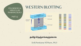 Western Blotting  CBMPPart35Tamil [upl. by Eisnil]