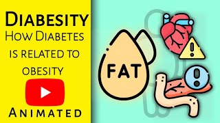 Diabesity  How Diabetes is related to obesity  Chemical Pathology  Animated [upl. by Hak]