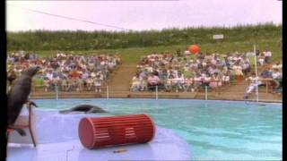 Pleasurewood Hills Promotional Video 1988 [upl. by Kaile644]