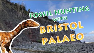 Fossil Hunting with Bristol Palaeo [upl. by Eloise]