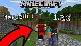 MinecraftPE 12MANTELLI  COME METTERLI NELLA NUOVA VERSIONE Tutorial [upl. by Anitak]