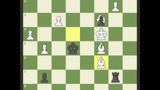 Kings Pawn Opening Leonardis Variation 2Nf6 [upl. by Tertius]