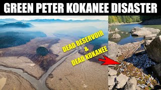 Green Peter Kokanee Disaster Killing Salmon to Save Salmon [upl. by Notlit249]